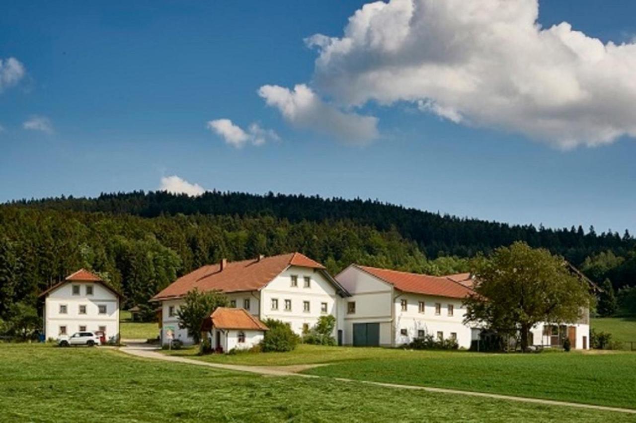 Der Breinhof - Euer Urlaubsbauernhof Apartment Waldkirchen Exterior photo